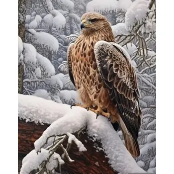 Diamantové malování Diamantový obrázek orel v zimní krajině 30 x 40 cm