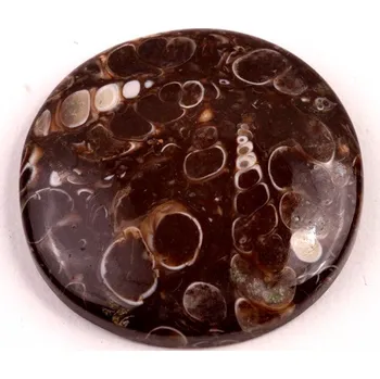 Přírodní kámen Kabošon Turritella Achát č.6066 (32x6mm)