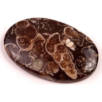 Přírodní kámen Kabošon Turritella Achát č.6081 (38x24x6mm)