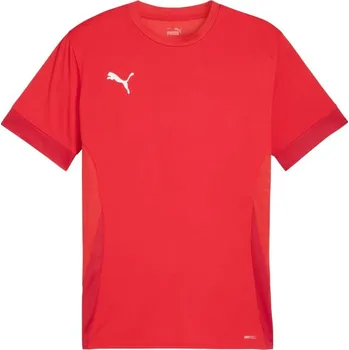Pánské tričko Pánské zápasové tričko Puma teamGoal M 705747 01 s