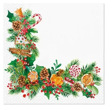 Ubrousky PAW Dekor L (20ks) Orange Scented Frame