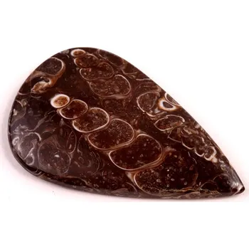 Přírodní kámen Kabošon Turritella Achát č.6073 (42x26x5mm)