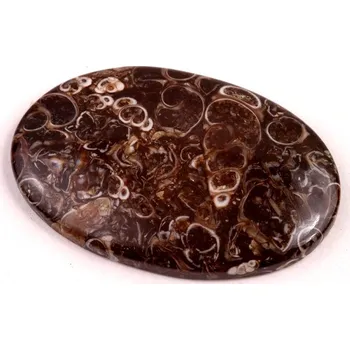 Sběratelství Kabošon Turritella Achát č.6077 (40x26x5mm)