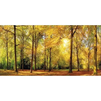 Obraz Obraz na plátně Sunset in forest III 100x50 cm