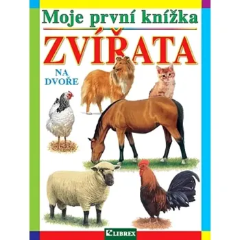 Příroda Zvířata na dvoře (, 2019)