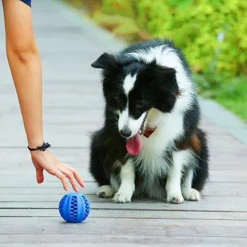 Hračka pro psa Žvýkací míček pro psy na čištění zubů - velký