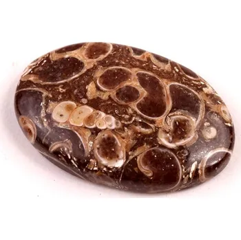 Přírodní kámen Kabošon Turritella Achát č.6068 (33x22x6mm)