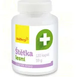 Štětka lesní cps.120 Wolfberry