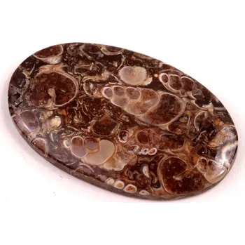 Přírodní kámen Kabošon Turritella Achát č.6085 (38x23x4mm)