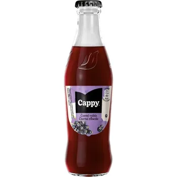 Cappy Černý rybíz 25% 0,25 l