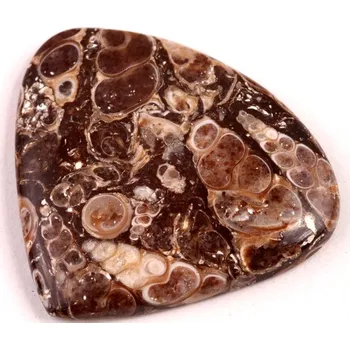 Přírodní kámen Kabošon Turritella Achát č.6078 (33x37x5mm)