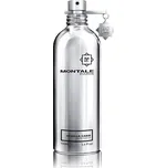 Montale Paris Vanilla Cake EDP 100 ml UNISEX