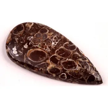 Přírodní kámen Kabošon Turritella Achát č.6071 (42x20x5mm)