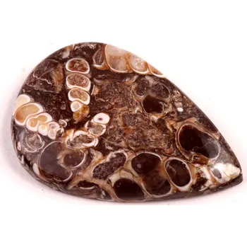 Přírodní kámen Kabošon Turritella Achát č.6065 (39x27x6mm)