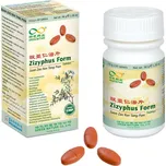 Suan Zao Tang Pian Zyzyphus Form 60 tbl.