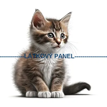 Látkový panel - Kočka - KČ-62 Velikost: 25x25cm, Materiál: Mikroplyš