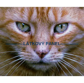 Látkový panel - Kočka - KČ-09 Velikost: 15x15cm, Materiál: Mikroplyš