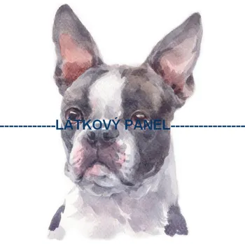 Látkový panel - Pes - PS-100 Velikost: 60x60cm, Materiál: Mikroplyš