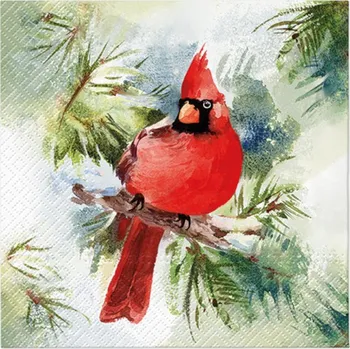 Paw Ubrousky PAW Dekor L (20ks) Winter Cardinal 589495