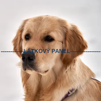 Látkový panel - Pes - PS-117 Velikost: 30x30cm, Materiál: Mikroplyš