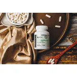 Andrographis 98 % extrakt / 60 kapslí