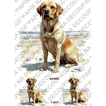 Umělecký papír Rýžový a soft papír na decoupage - Labrador - KB04211 Materiál: Soft, Rozměr: A4