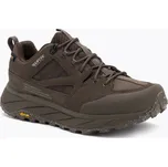 Pánské trekingové boty Jack Wolfskin Terraquest Texapore Low gecko bear