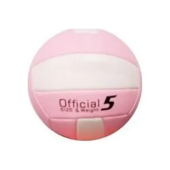 Hra na zahradu Piłka siatkowa