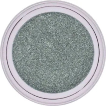 NICOLE DIARY Cat magnetic 2 - Chromový pigment na nehty se zrcadlovým efektem