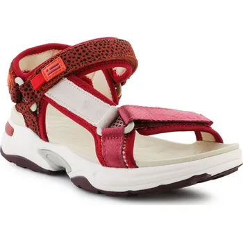 Dámská obuv D.Franklin Tenisky Sandal Strips W DFSH406003-Burg EU 37