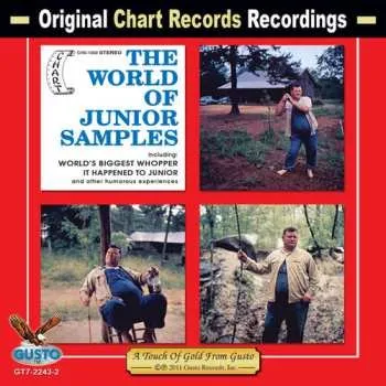Zahraniční hudba CD Junior Samples: The World Of Junior Samples 2011