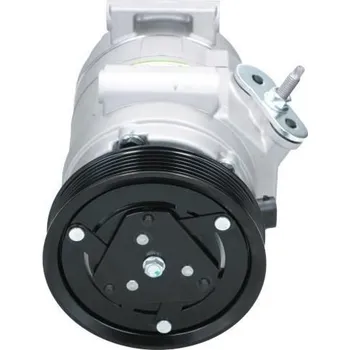 Kompresor klimatizace Kompresor, klimatizace BV PSH 090.135.069.040