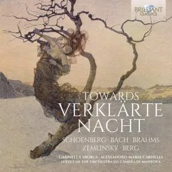 Zahraniční hudba CD Johann Sebastian Bach: Towards Verklärte Nacht 2016