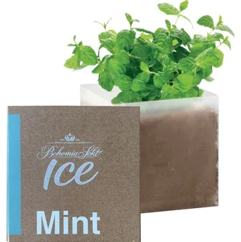 Substrát Bohemia Sekt ICE semínka máty