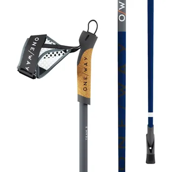 Nordic walkingová hůl Hůlky Oneway TEAM 3 110 modrá/černá