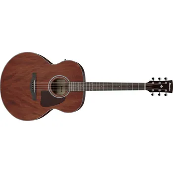 Akustická kytara Ibanez AJ54E Natural + prodloužená záruka 3 roky