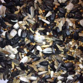 Krmivo pro ptáka Avest - Zimní krmítková směs 1 kg