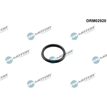 Auto-moto Těsnicí kroužek, hadice plnicího vzduchu Dr.Motor Automotive DRM02920