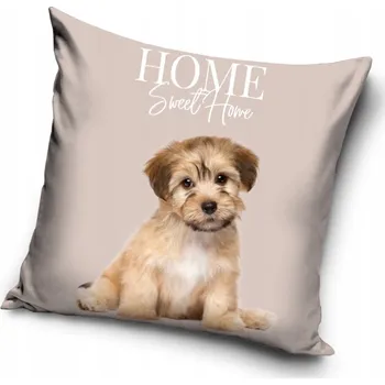 Povlak na dekorativní polštářek Povlak na polštáře 40 x 40 cm Carbotex