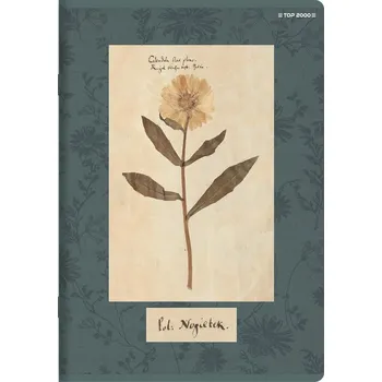 Sešit Sešit A5 s mřížkou TOP-2000, 80 listů