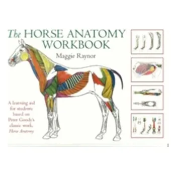The Horse Anatomy Workbook - Raynor, Maggie