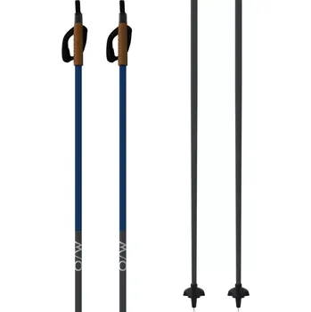 Běžkařská hole Hůlky Oneway DIAMOND 2 2025/26 130 šedá