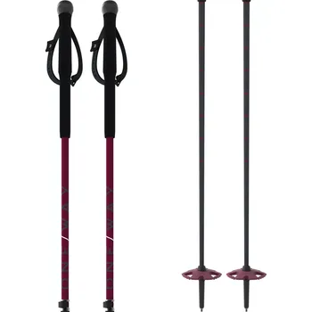 Sjezdová hůlka Hůlky Oneway TR VARIO BLACKBERRY 2025/26 90-125 fialová