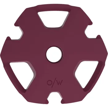 Běžkařská hole Talířky Oneway OFF PISTE 90 mm BLACKBERRY UNI