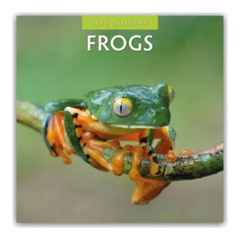 Diář Frogs - Frosch - Frösche 2026 - 16-Monatskalender (EN)