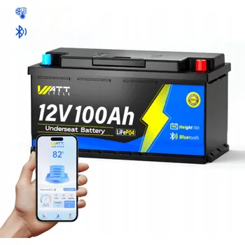 Trakční baterie WattCycle Akumulátor 12,8V 100Ah