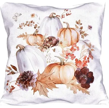 Povlečení Forbyt Dýně CYH5960C 40 × 40 cm