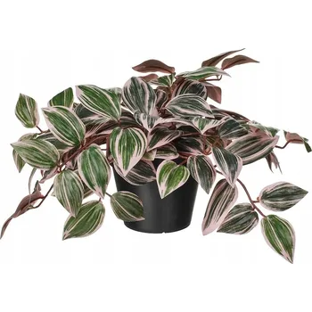 umělá květina IKEA FEJKA Umělá rostlina v květináči, Tradescantia fialová, 12 cm