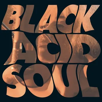 Zahraniční hudba Black Acid Soul Lady Blackbird Vinylová Deska
