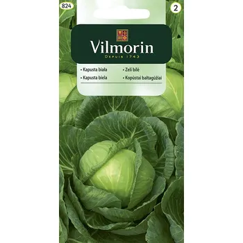 Semeno Zelí bílé Slawa z Golebiewa